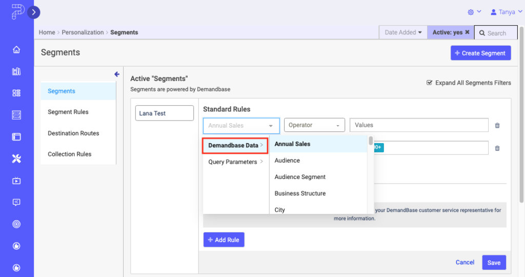 Segment Standard Rules with Demandbase data